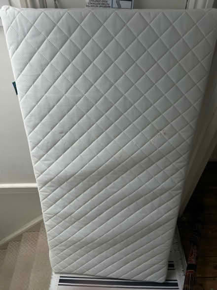 Photo of free Cot mattress (Battersea SW11) #2