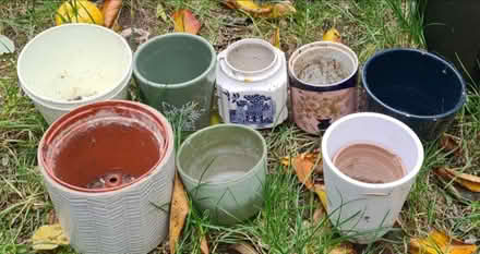 Photo of free Mixes (Rochester ME1) #1