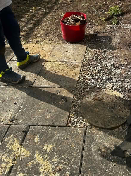 Photo of free Patio Slabs (Willingham CB24) #1