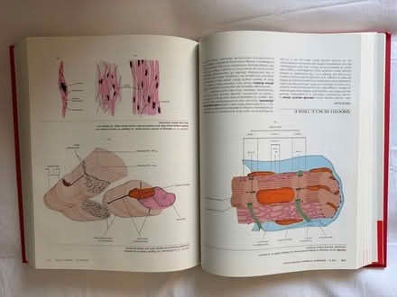 Photo of free Book: Principles of Anatomy and Physiology (Welling DA16) #4