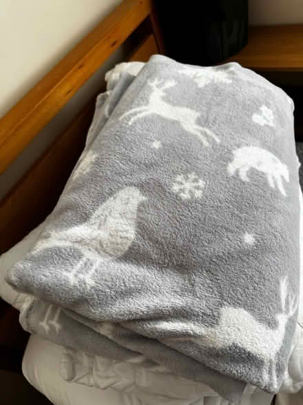 Photo of free Single duvet, 2 pillows (TN2 3HT) #3