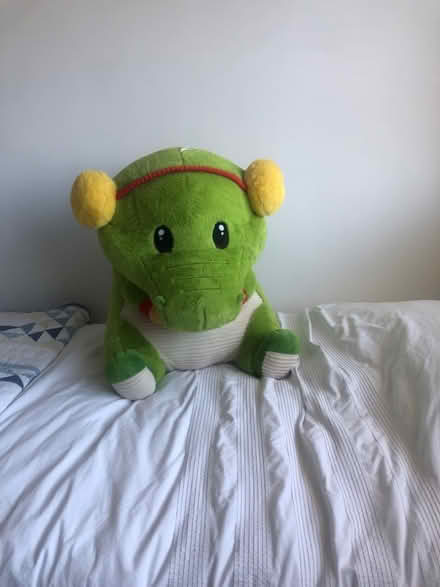 Photo of free Giant cuddly toy (West Kingsdown TN15) #1