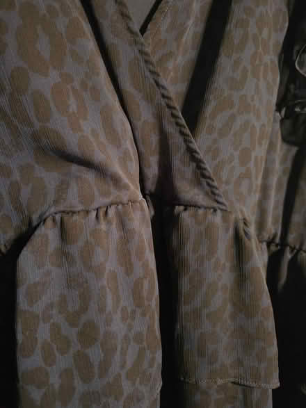 Photo of free Blue Leopard Ruffle Top (West 7th) #2