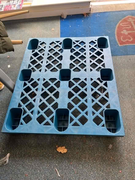 Photo of free Plastic pallet (SE4) #1