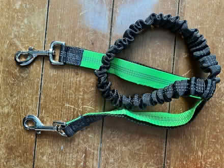 Photo of free Dog/puppy items (Ballynafoy BT6) #1