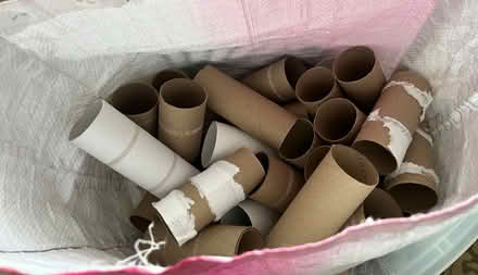 Photo of free Toilet paper rolls (Orléans) #1