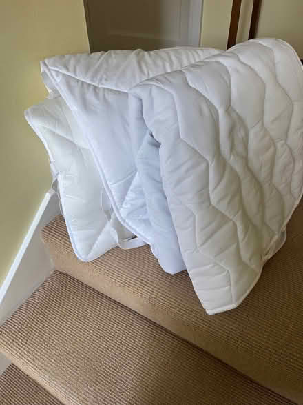 Photo of free 2 single bed mattress toppers (Cringleford NR4) #1