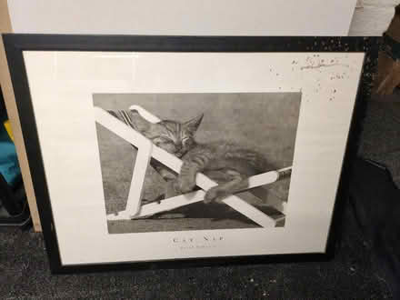 Photo of free Large cat picture (Chatham ME5) #1