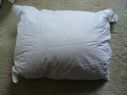 Photo of free Duck feather & duck down filled pillow 50x66cm (Kempsey WR5) #1