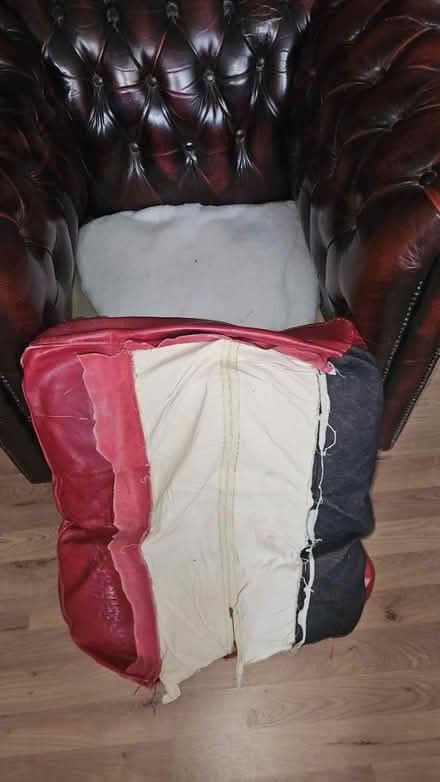 Photo of free Leather arm chair (Bruswick square WC1N) #3