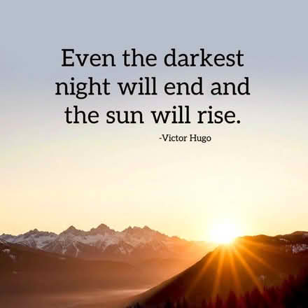 Photo of free Plant (Wincobank, S5) #2