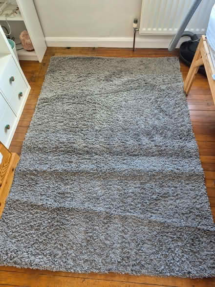 Photo of free Grey rug (Lordship Estate SG6) #2