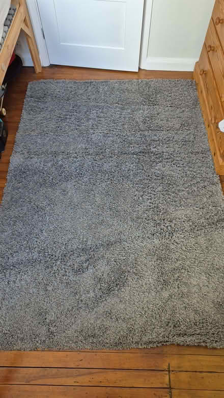 Photo of free Grey rug (Lordship Estate SG6) #1