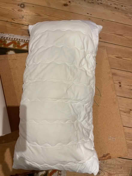 Photo of free Pillow (Queen's Park BN2) #1