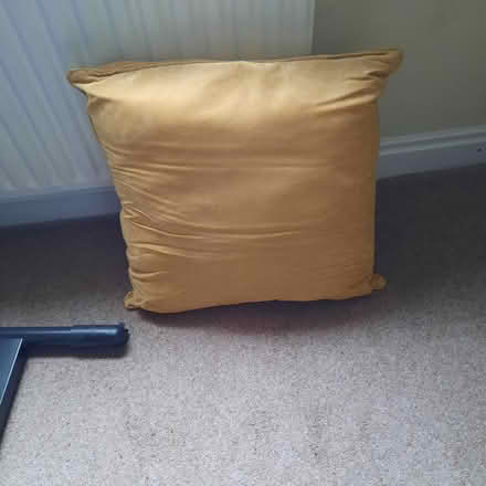 Photo of free Scatter cushion (Witton le Wear DL15) #1