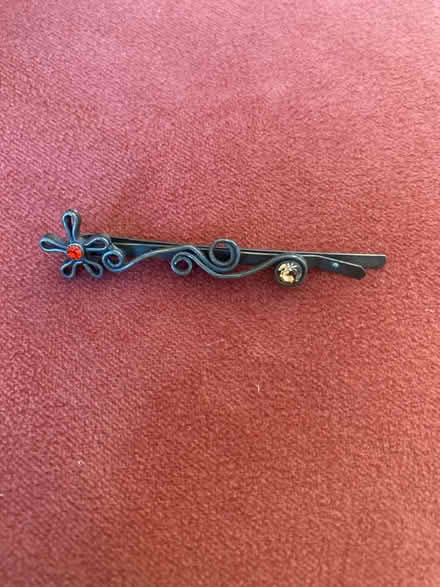 Photo of free Hair slide (Herne Hill, SE24) #1