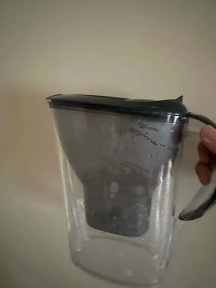 Photo of free Brita (Brentford TW8) #1