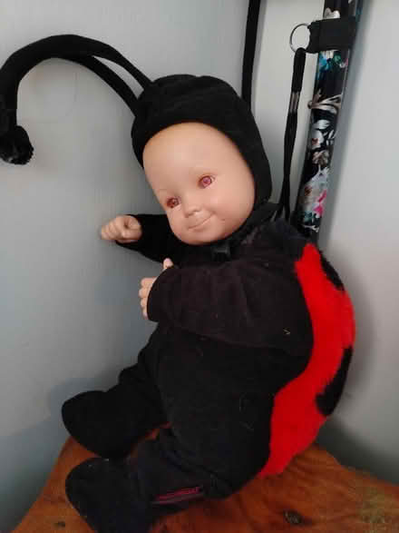 Photo of free Dolls (Dursley) #3