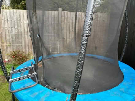 Photo of free Trampoline (SW20) #3