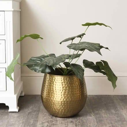 Photo of Extra Large Plant Pots (30cm up) (Sandy SG19) #3