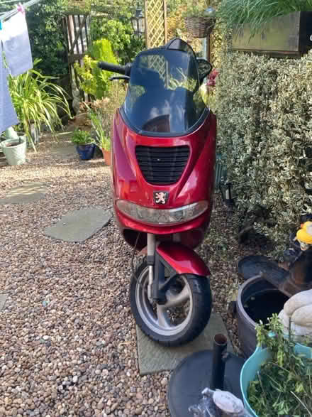 Photo of free Old scooter/moped (SG17) #2