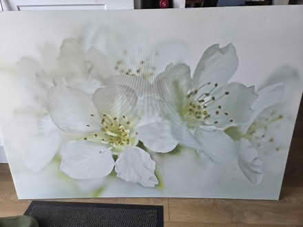 Photo of free Flower wall picture (Bonnyrigg EH19) #2