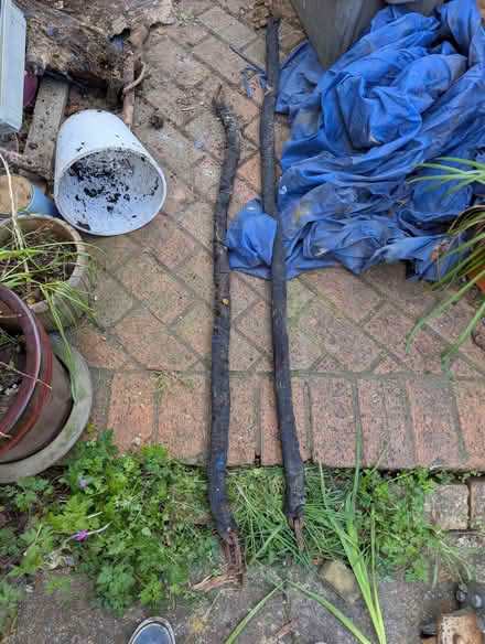 Photo of free Motorcycle chains , just need a padlock (Portslade by Sea BN41) #1