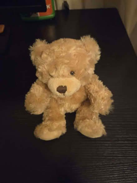 Photo of free Small Teddy (Round Green LU2) #1