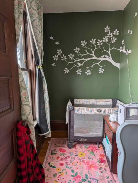 Photo of free Vinyl Butterfly Decals (East side) #3