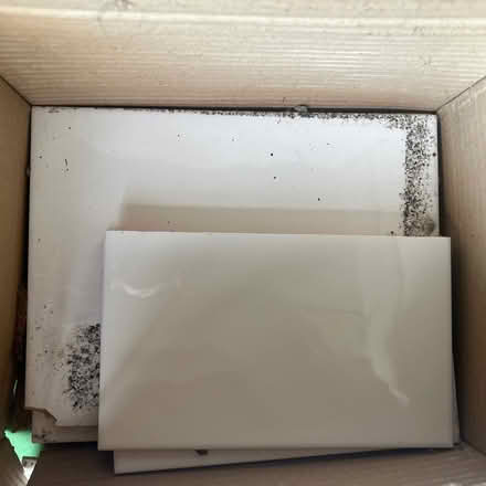 Photo of free Few white tiles (Presteigne LD8) #1