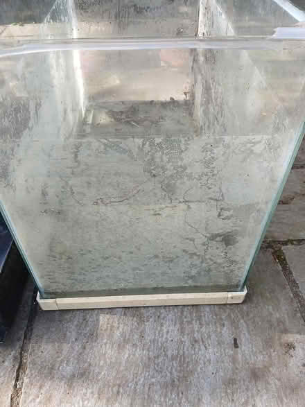 Photo of free Fish tank (bristol, ashton gate BS3) #2