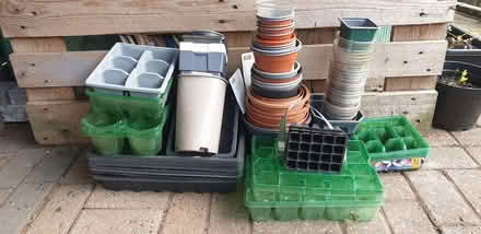 Photo of free Plant Pots and Seed Trays (Stourport on Severn DY13) #2