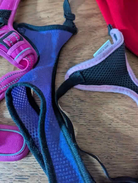 Photo of free Small to Medium dog accessories (Grangeway area NN10) #3