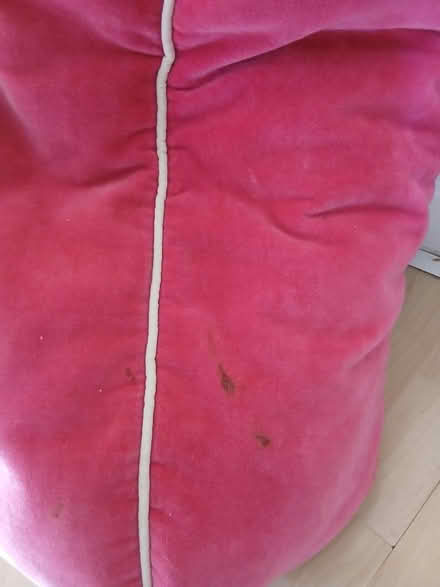 Photo of free Bean bag (Thornton Heath CR7) #2