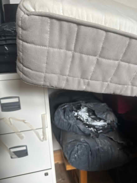 Photo of free Single mattress (Se6 2ha) #2