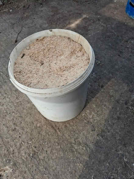 Photo of free Bucket of sawdust (Ledbury, HR8) #1