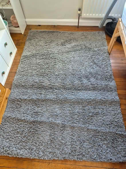 Photo of free Grey rug (Lordship Estate SG6) #3