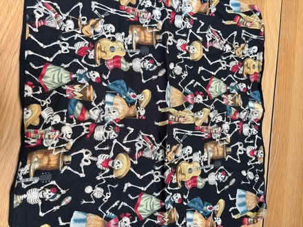 Photo of free Mexican skeleton cushion cover (Didsbury M20) #1