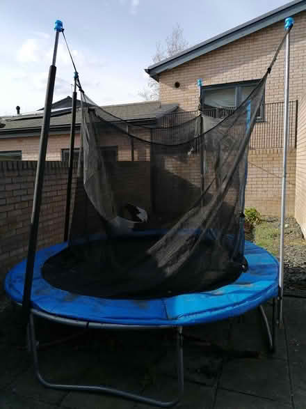 Photo of free 8ft trampoline (Sheffield, S12) #1