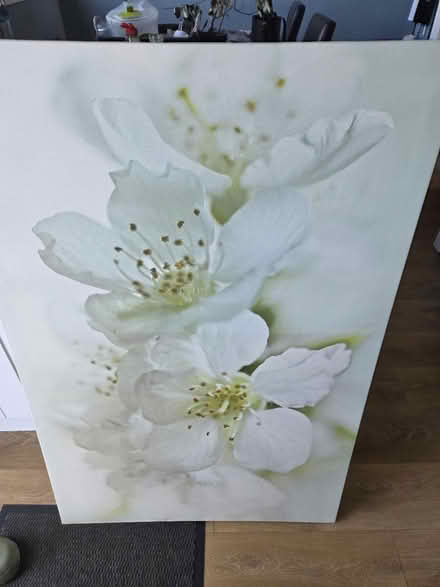 Photo of free Flower wall picture (Bonnyrigg EH19) #1