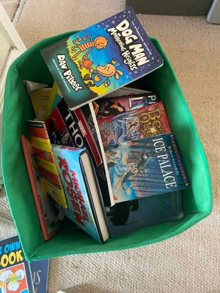 Photo of free Children’s books and novels (BR3 New Beckenham) #2