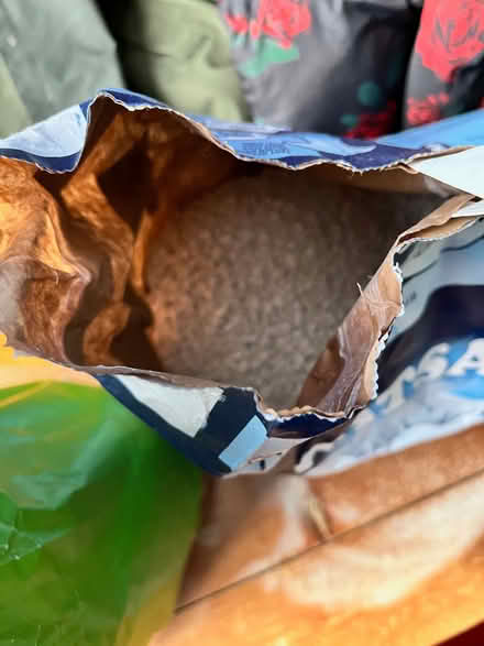 Photo of free Leftover cat litter (Ballynafoy BT6) #2