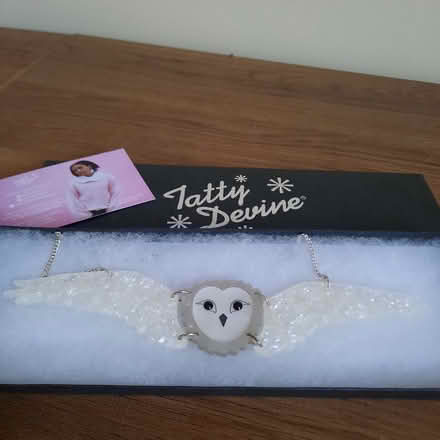 Photo of free Designer necklace (Witton le Wear DL15) #1