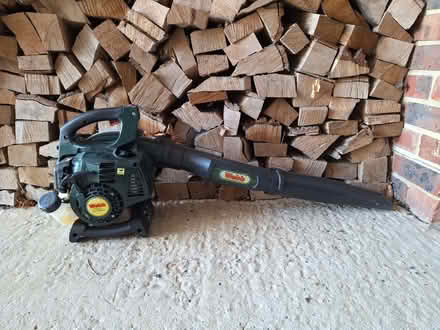Photo of free WEBB Petrol leaf blower. (Sharpthorne RH19) #1