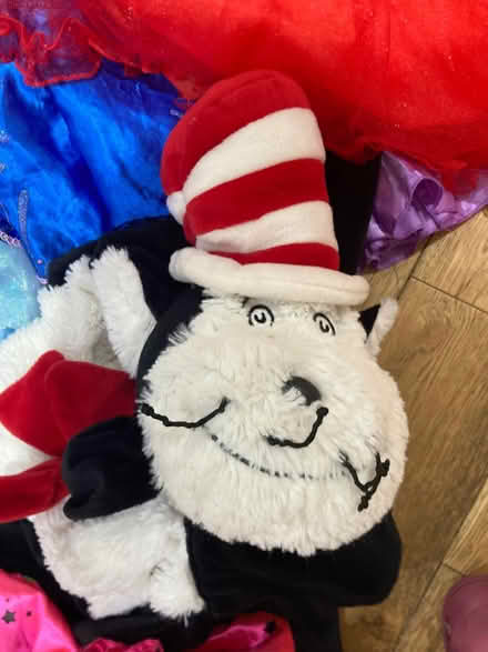 Photo of free Mixed fancy dress age 5-7 (Aigburth L19) #2