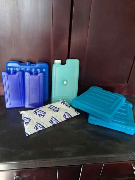 Photo of free Blue ice packs (Snell and Santa Teresa) #1