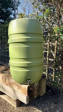 Photo of free Water Butt (East Horsley) #2