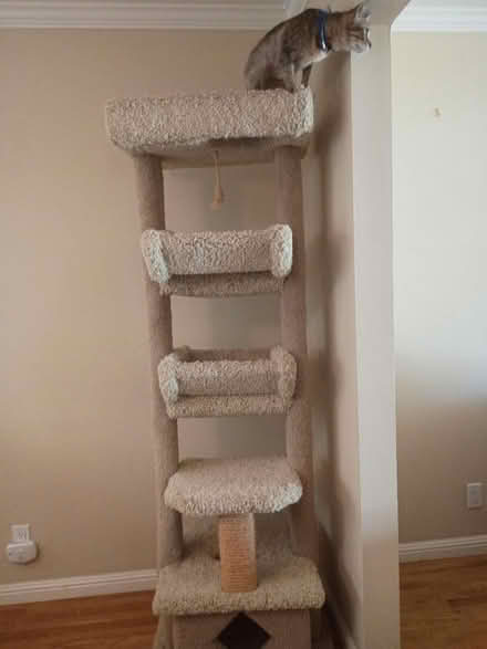 Photo of free Large Cat Tree (Birdland) #1