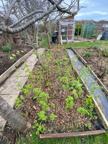 Photo of Any style paving slabs (Southwick BN42) #1