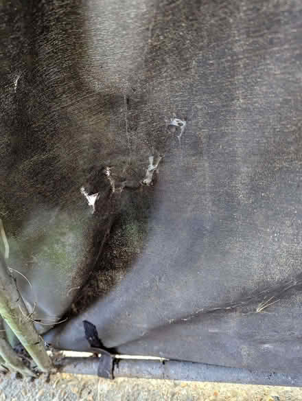 Photo of free Bike Barn motorbike cover (Portslade by Sea BN41) #3